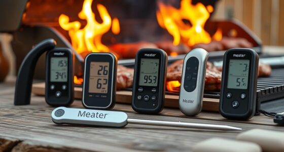 top 5 grilling meat thermometers