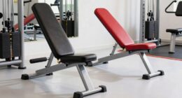 back extension workout equipment
