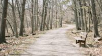 simplify for better understanding