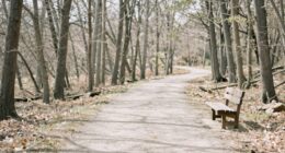 simplify for better understanding