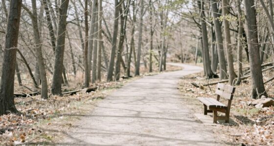 simplify for better understanding